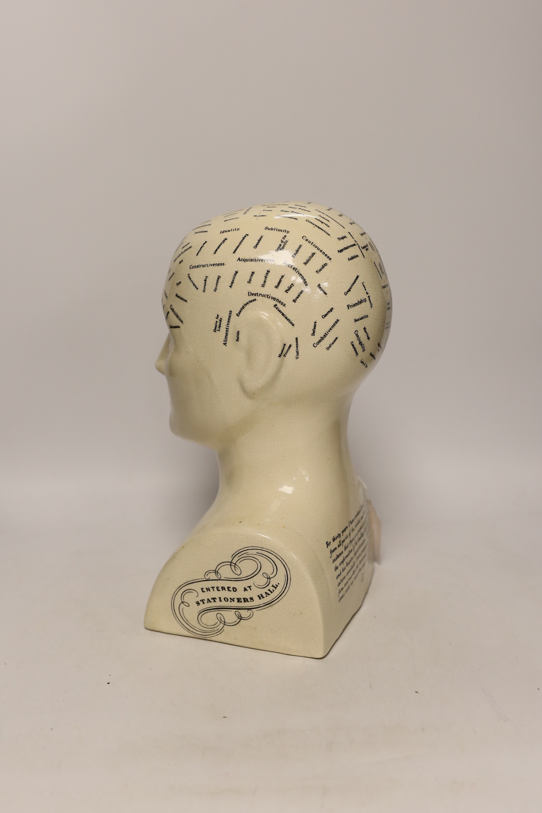 A reproduction Phrenology bust, 30cm